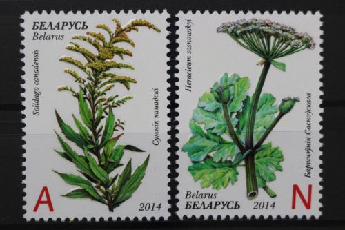 Belarus, MiNr. 1021-1022, postfrisch