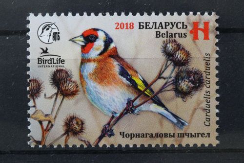 Belarus, MiNr. 1243, postfrisch
