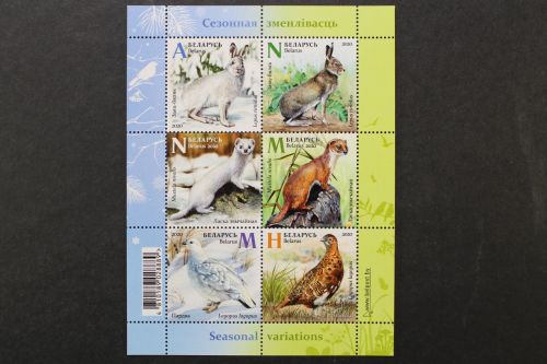 Belarus, MiNr. Block 190, postfrisch