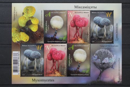 Belarus, MiNr. Block 185, postfrisch