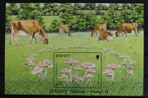 Jersey, MiNr. Block 51, postfrisch