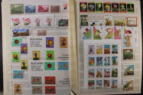 Motivsammlung "Kakteen"