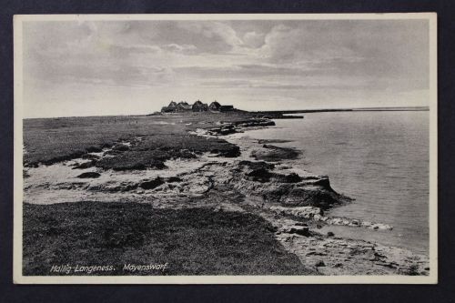 Hallig Langeness, Mayenswarf