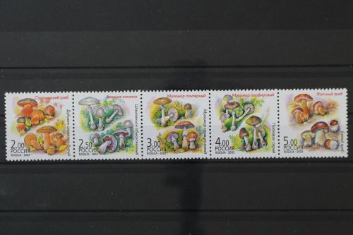 Russland, MiNr. 1108-1112, Fünferstreifen, postfrisch