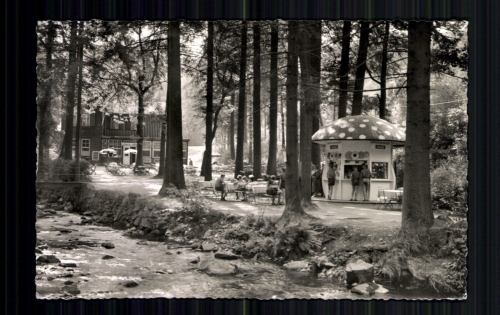 Bad Harzburg, Am Radau Wasserfall