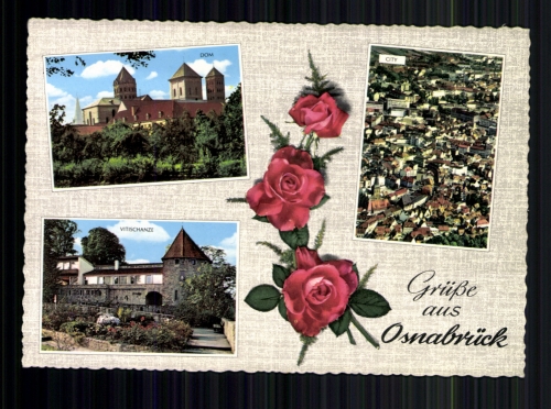 Osnabrück, Dom, City, Vitischanze und Rosen