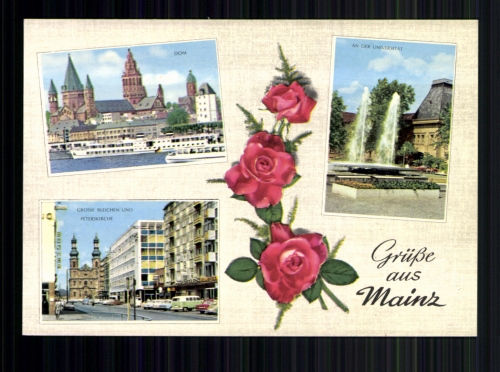 Mainz, Dom, an der Universität, Grosse Bleichen u. Peterskirche, Rosen