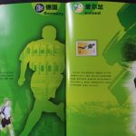 China, Fußball WM 2002 in Süd-Korea und Japan