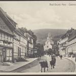 Bad Grund, Osteroderstraße, Rinder