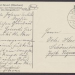 Bad Grund, Osteroderstraße, Rinder