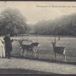 Hamburg Dockenhuden, Hirschpark
