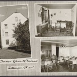 Zeltingen / Mosel, Pension Ehses - Werland