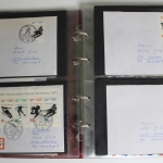 Deutschland (BRD), Briefe mit Blockausgaben und Blockeinzelmarken