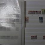 USA, Sammlung in 5 Einsteckalben
