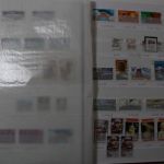 USA, Sammlung in 5 Einsteckalben