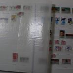 USA, Sammlung in 5 Einsteckalben