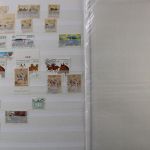 Motivsammlung "Pferde", Sammlung in 2 Alben