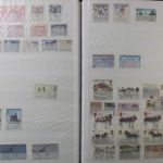 Motivsammlung "Pferde", Sammlung in 2 Alben