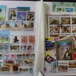 Motivsammlung "Pferde", Sammlung in 2 Alben