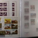 Motivsammlung "Pferde", Sammlung in 2 Alben