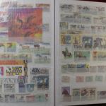 Motivsammlung "Pferde", Sammlung in 2 Alben