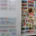 Motivsammlung "Pferde", Sammlung in 2 Alben
