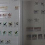 Briefmarken Posten, 12 Alben mit Marken aus vielen Ländern