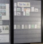 Abarten & Plattenfehler Sammlung im Einsteckalbum