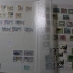 Briefmarken-Posten "DDR" aus einem großen Nachlaß. Karton 3
