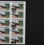 Deutschland (BRD), MiNr. 2916 skl. FB 20, ESST