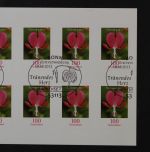 Deutschland (BRD), MiNr. 3034 skl. FB 33, ESST