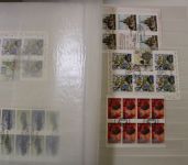 Briefmarken Deutschland (BRD) - Sammlung und Dubletten