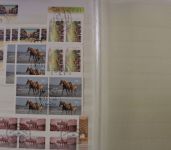 Briefmarken Deutschland (BRD) - Sammlung und Dubletten