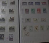 Briefmarken Europa & Übersee Posten im Umzugskarton, Karton X