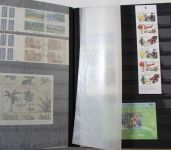 Briefmarken Europa & Übersee Posten im Umzugskarton, Karton XX