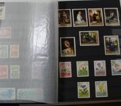 Briefmarken Europa & Übersee Posten im Umzugskarton, Karton XX