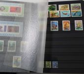 Briefmarken Europa & Übersee Posten im Umzugskarton, Karton XX