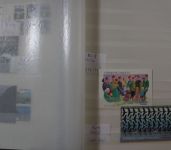 Briefmarken Europa & Übersee Posten im Umzugskarton, Karton XXX
