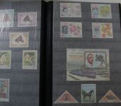 Briefmarken Europa & Übersee Posten im Umzugskarton, Karton XXX