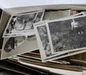 Briefmarken-Posten in 2 Umzugskartons, insgesamt 47 KG!!!