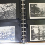 Kaiser Wilhelm II, Kaiserfamilie, Adel , 71 Karten aus dem 1. Weltkrieg