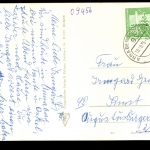 Annaberg-Buchholz/Erzgeb., Teilansicht, Wunderlinde, Rathaus