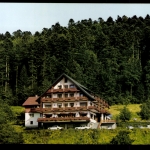 Bad Peterstal, Waldhotel Palmspring