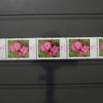 Deutschland (BRD), MiNr. 2529, Fünferstreifen ZN 145, gestempelt