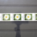Deutschland (BRD), MiNr. 2451, Fünferstreifen ZN 95, gestempelt