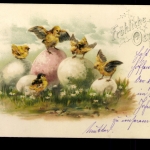 Fröhlichr Ostern, Kücken