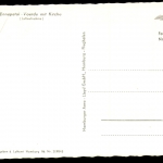 Ennepetal, Voerde mit Kirche, Luftaufnahme