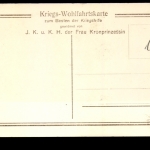 Die Söhne unseres Kronprinzenpaares in Feldgrau