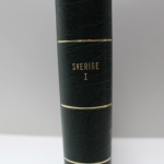 Leuchtturm, grüner Klemmbinder Luxus DL, Aufdruck: Sverige I