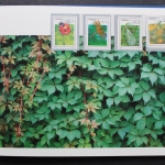 China, Jahrbuch 1992 blauer Einband, postfrisch / MNH